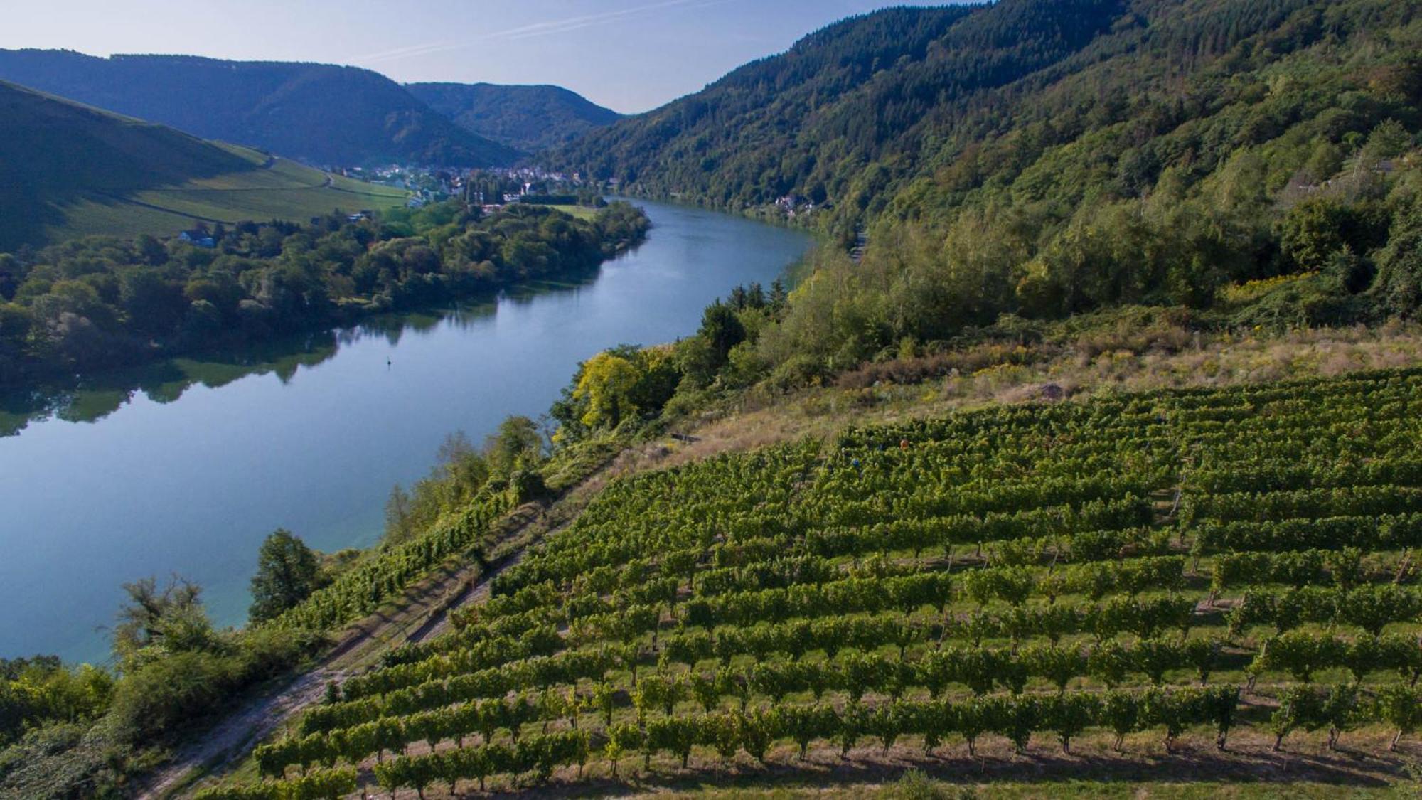 Ferienhaus Moselhoehe -Neu- Traben-Trarbach Zewnętrze zdjęcie
