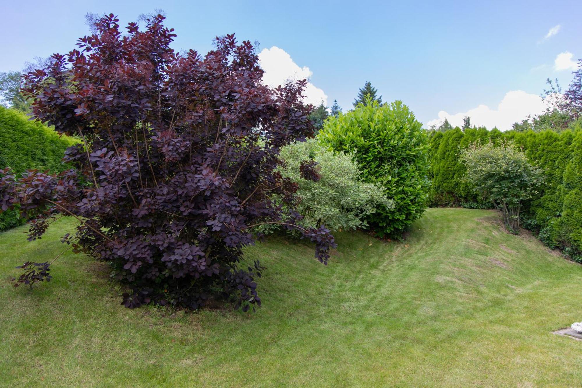 Ferienhaus Moselhoehe -Neu- Traben-Trarbach Zewnętrze zdjęcie